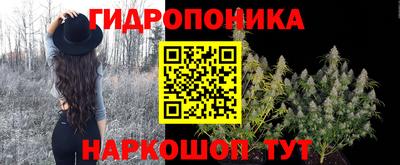 mdma Камышлов