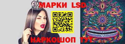 mdma Камышлов