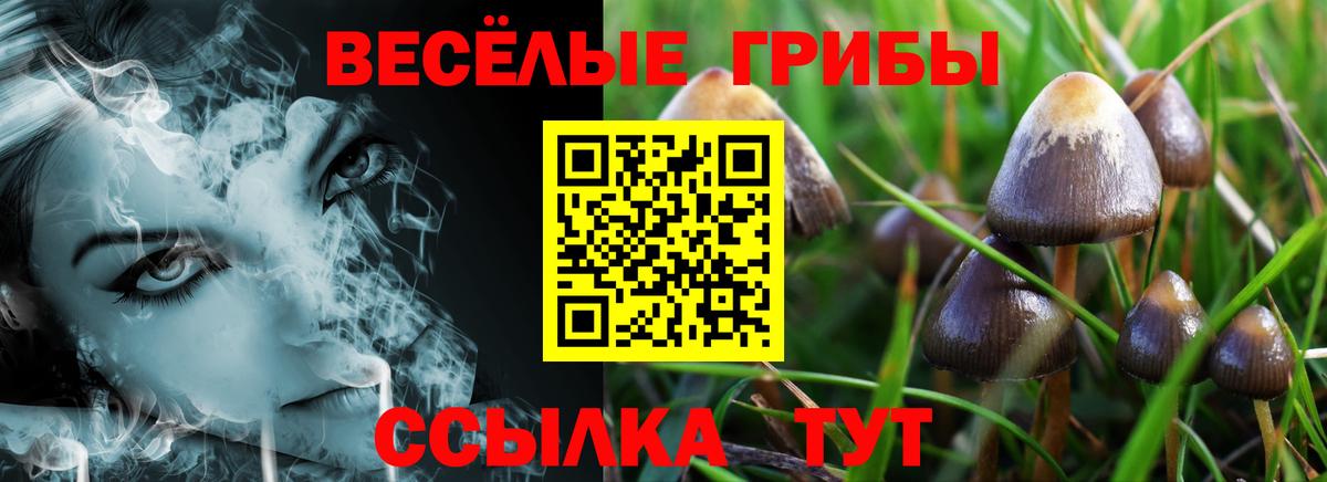 Псилоцибиновые грибы GOLDEN TEACHER  Галлюциногенные грибы прущие грибы  магазин    Вход с VPN  Кудымкар 